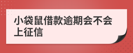 小袋鼠借款逾期会不会上征信