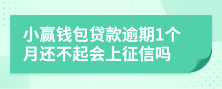 小赢钱包贷款逾期1个月还不起会上征信吗