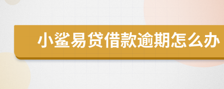 小鲨易贷借款逾期怎么办