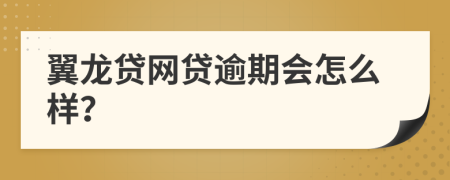 翼龙贷网贷逾期会怎么样？