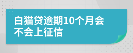 白猫贷逾期10个月会不会上征信