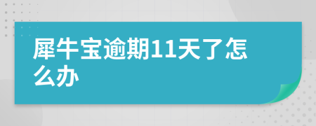 犀牛宝逾期11天了怎么办