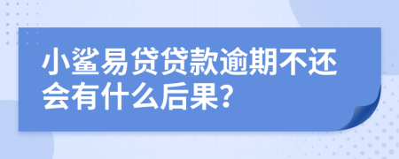 小鲨易贷贷款逾期不还会有什么后果？