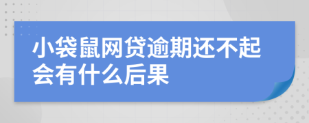 小袋鼠网贷逾期还不起会有什么后果