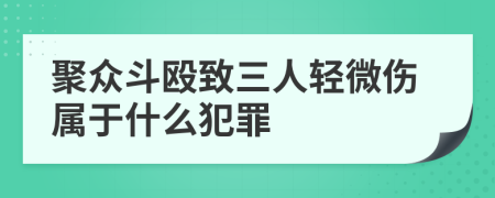 聚众斗殴致三人轻微伤属于什么犯罪