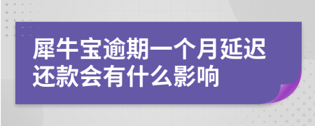 犀牛宝逾期一个月延迟还款会有什么影响