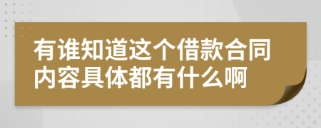 有谁知道这个借款合同内容具体都有什么啊