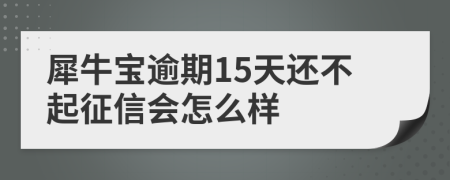 犀牛宝逾期15天还不起征信会怎么样