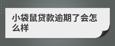 小袋鼠贷款逾期了会怎么样
