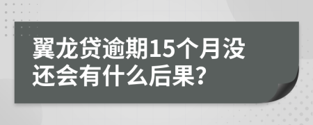 翼龙贷逾期15个月没还会有什么后果？