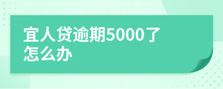 宜人贷逾期5000了怎么办