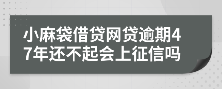 小麻袋借贷网贷逾期47年还不起会上征信吗