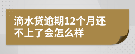 滴水贷逾期12个月还不上了会怎么样