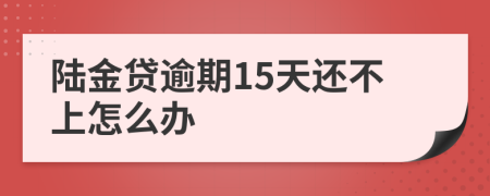 陆金贷逾期15天还不上怎么办