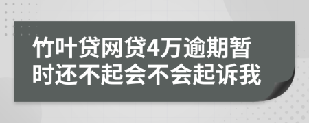 竹叶贷网贷4万逾期暂时还不起会不会起诉我