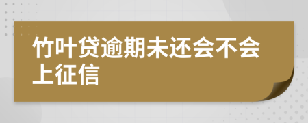 竹叶贷逾期未还会不会上征信