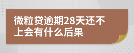 微粒贷逾期28天还不上会有什么后果