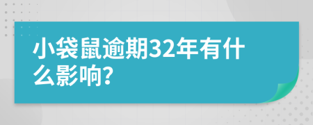 小袋鼠逾期32年有什么影响？