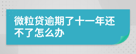 微粒贷逾期了十一年还不了怎么办