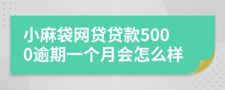 小麻袋网贷贷款5000逾期一个月会怎么样