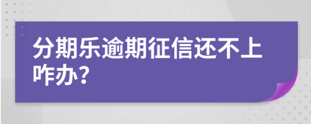 分期乐逾期征信还不上咋办？