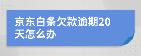 京东白条欠款逾期20天怎么办