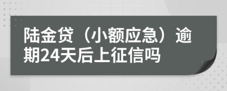 陆金贷（小额应急）逾期24天后上征信吗