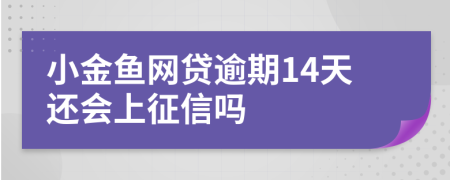 小金鱼网贷逾期14天还会上征信吗