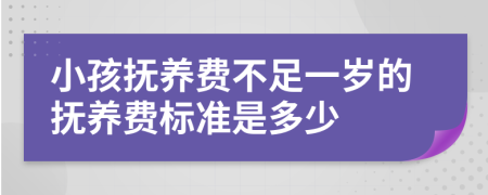 小孩抚养费不足一岁的抚养费标准是多少