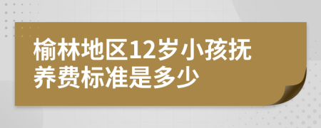 榆林地区12岁小孩抚养费标准是多少