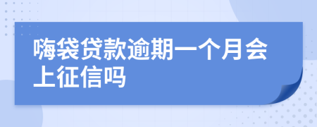 嗨袋贷款逾期一个月会上征信吗