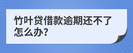 竹叶贷借款逾期还不了怎么办？