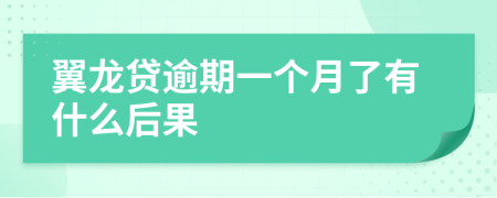 翼龙贷逾期一个月了有什么后果