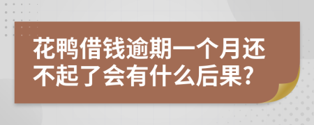 花鸭借钱逾期一个月还不起了会有什么后果?