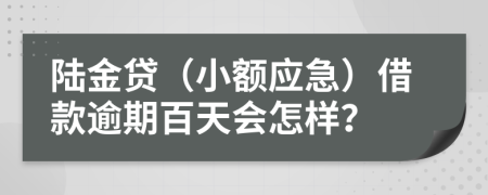陆金贷（小额应急）借款逾期百天会怎样？