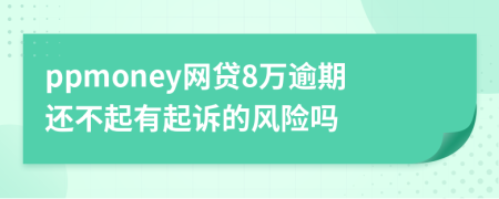 ppmoney网贷8万逾期还不起有起诉的风险吗