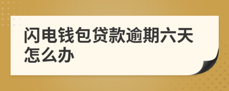 闪电钱包贷款逾期六天怎么办
