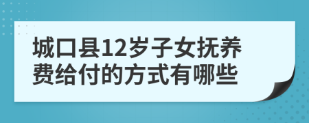 城口县12岁子女抚养费给付的方式有哪些