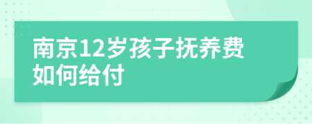 南京12岁孩子抚养费如何给付