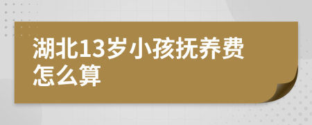 湖北13岁小孩抚养费怎么算