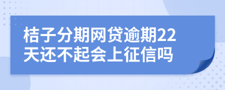 桔子分期网贷逾期22天还不起会上征信吗