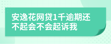 安逸花网贷1千逾期还不起会不会起诉我