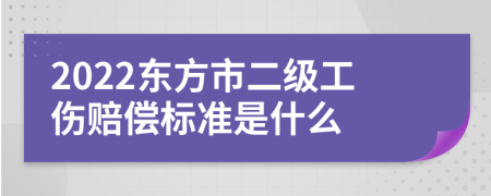 2022东方市二级工伤赔偿标准是什么