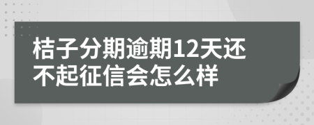 桔子分期逾期12天还不起征信会怎么样