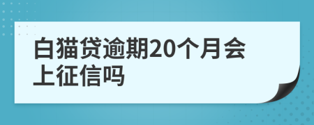 白猫贷逾期20个月会上征信吗