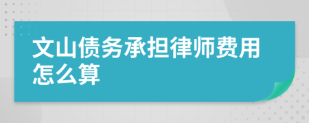 文山债务承担律师费用怎么算