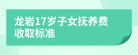 龙岩17岁子女抚养费收取标准