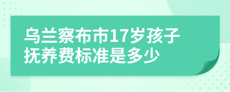 乌兰察布市17岁孩子抚养费标准是多少