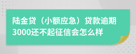 陆金贷（小额应急）贷款逾期3000还不起征信会怎么样