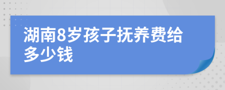 湖南8岁孩子抚养费给多少钱